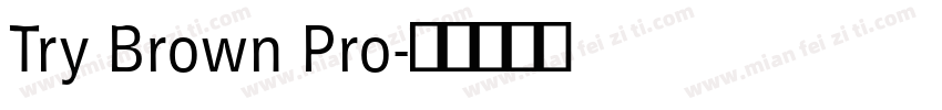 Try Brown Pro字体转换